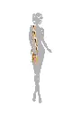 61002_196_03.webp