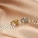 Michelle Bijou oorbel earcuff