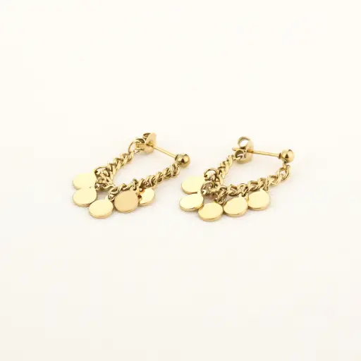 [je14559] Michelle Bijou oorbellen rondjes gold